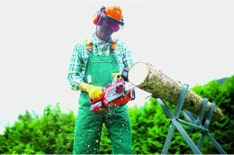 Einhell cordless chainsaw2